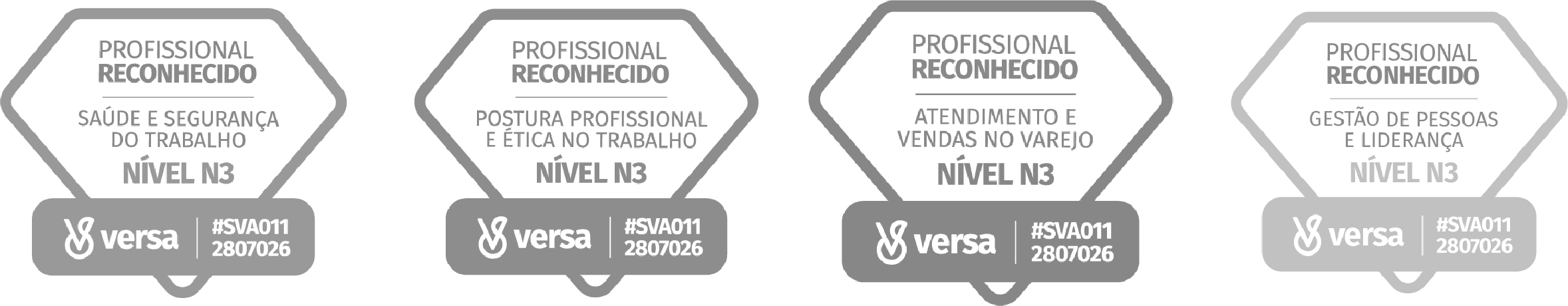 Selos Profissional Reconhecido Nível N3 da Versa